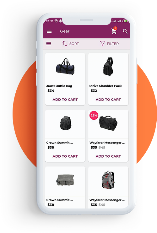 Advanced catalog rendering with magento 2 api for mobile app