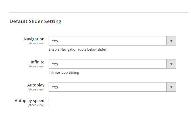 Customization Slider Options